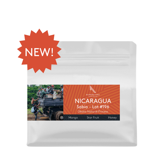 Nicaragua, Sabio Coffee Lot #196 (Natural)