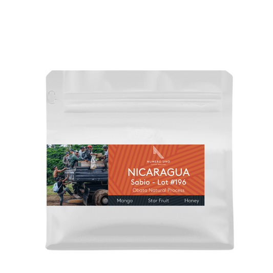 Nicaragua, Sabio Coffee Lot #196 (Natural)